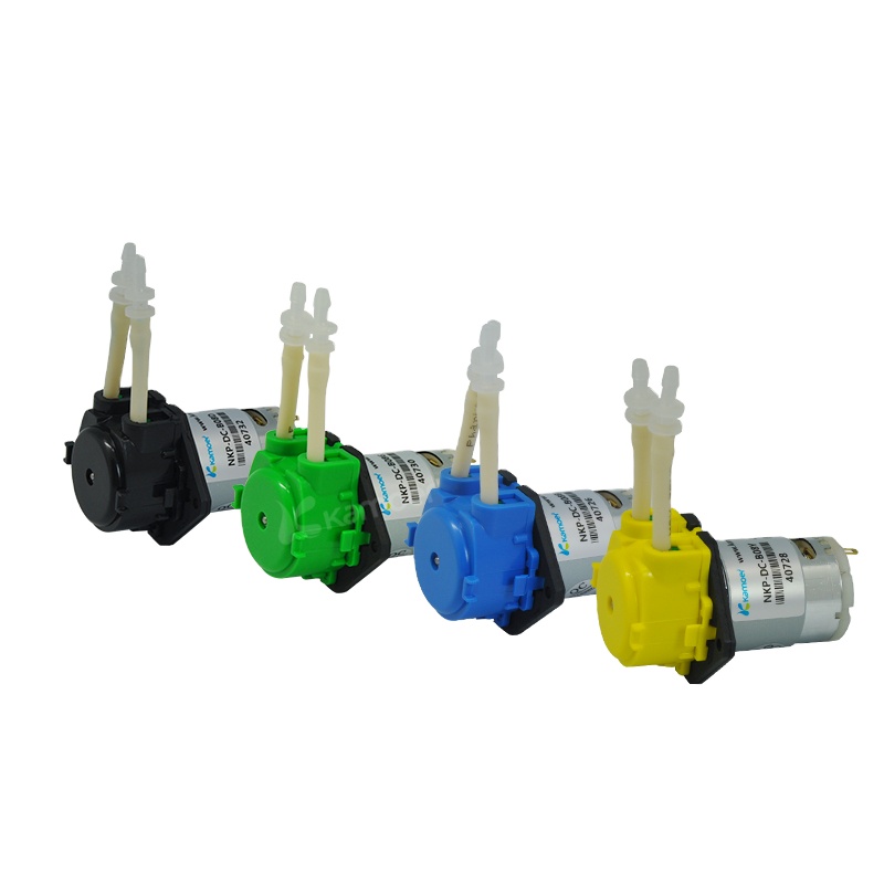 2026 new NKP 6V 12V 24V DC mot - Nutrition & Fitness Coaching Fulham のレビューと価格