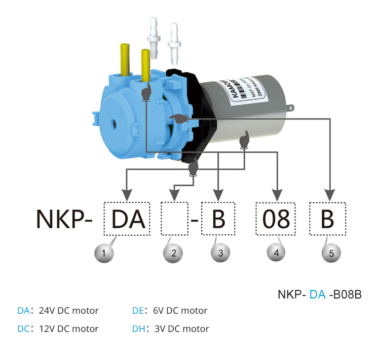 2026 new NKP 6V 12V 24V DC mot - Nutrition & Fitness Coaching Fulham のレビューと価格