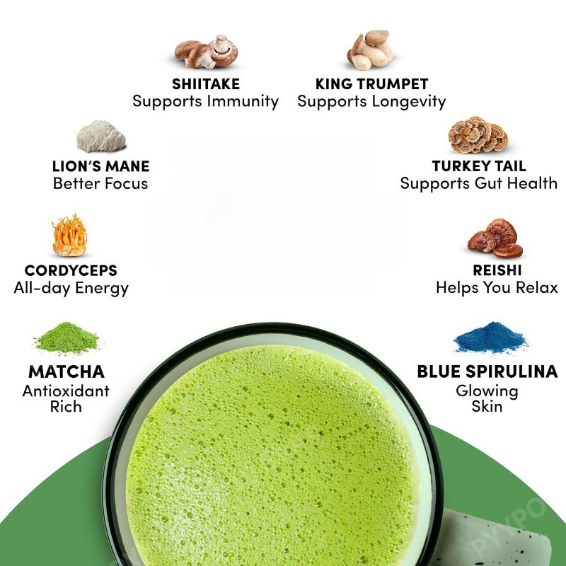 Organic Mushroom Matcha Supple - Lion Mane Mushroom のレビューと価格