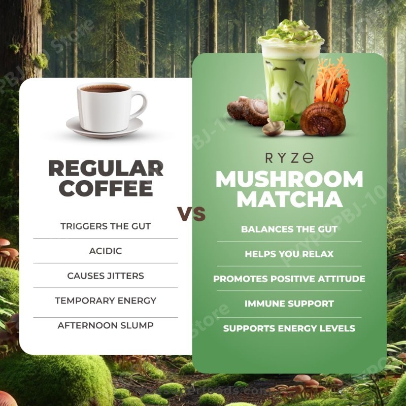 Organic Mushroom Matcha Supple - Lion Mane Mushroom のレビューと価格