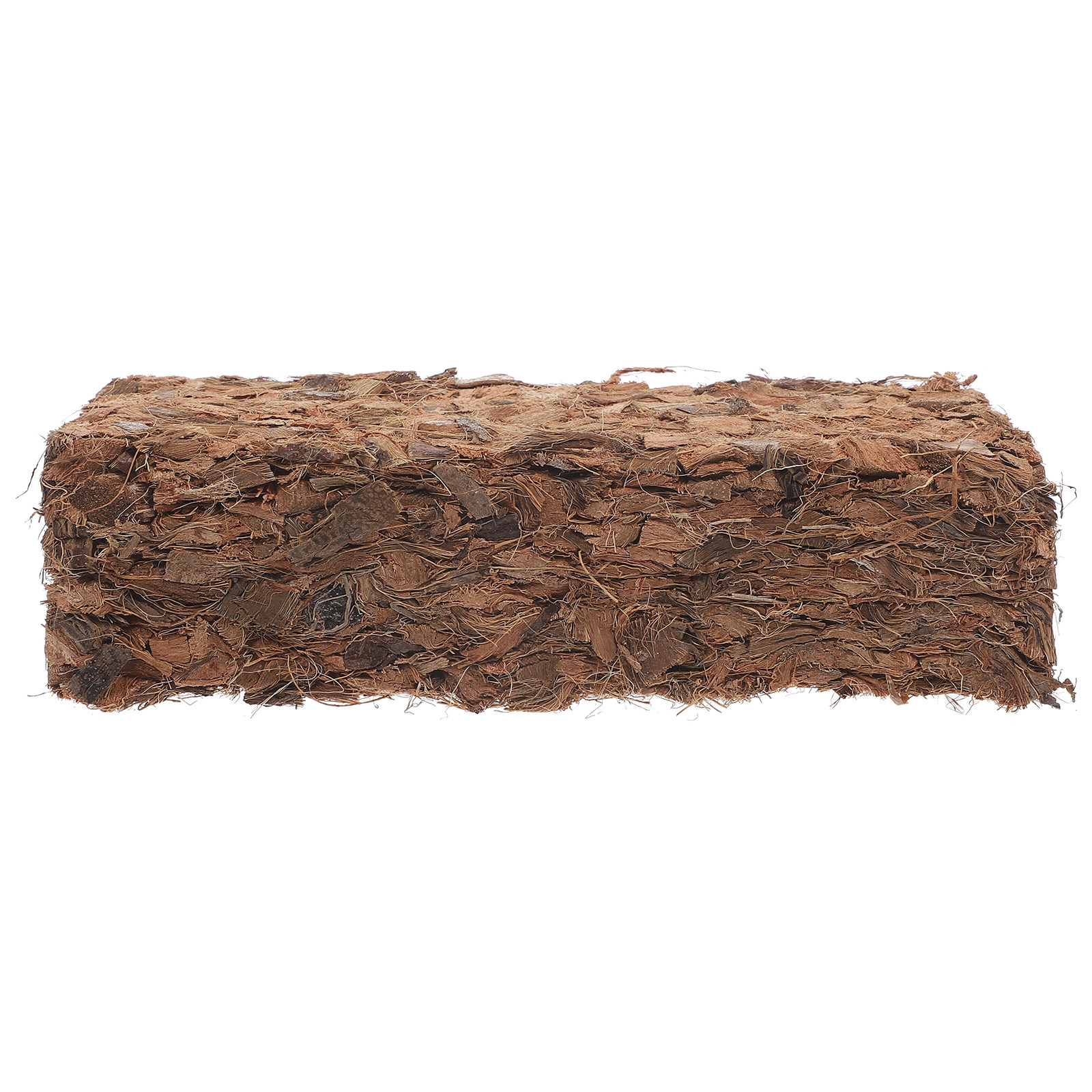 Plant Nursery Block Coconut Co - Nutrition & Fitness Coaching Fulham のレビューと価格