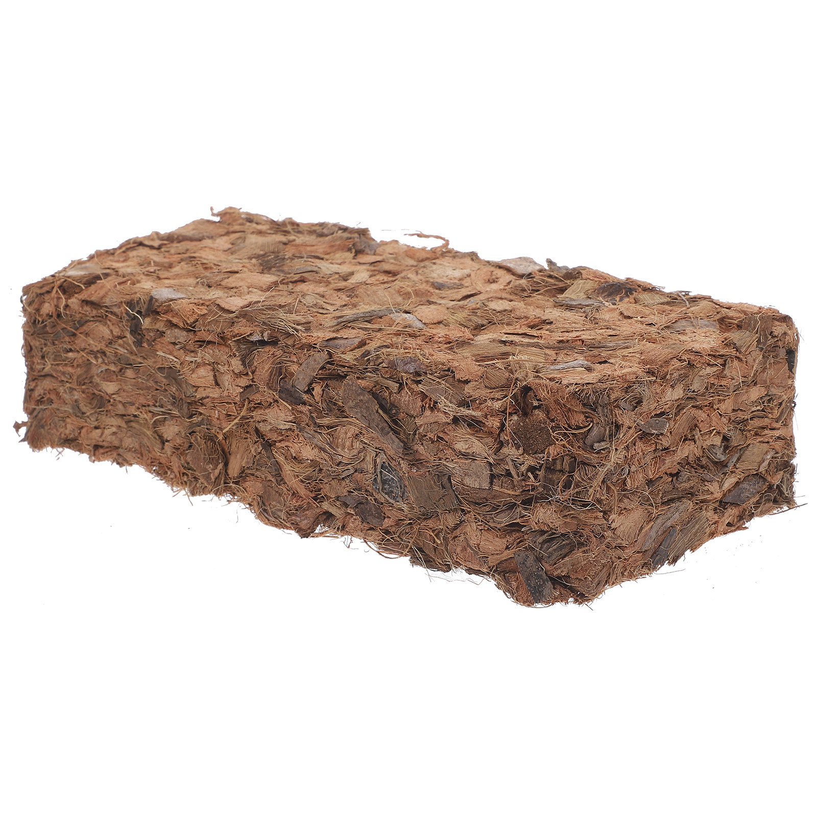 Plant Nursery Block Coconut Co - Nutrition & Fitness Coaching Fulham のレビューと価格
