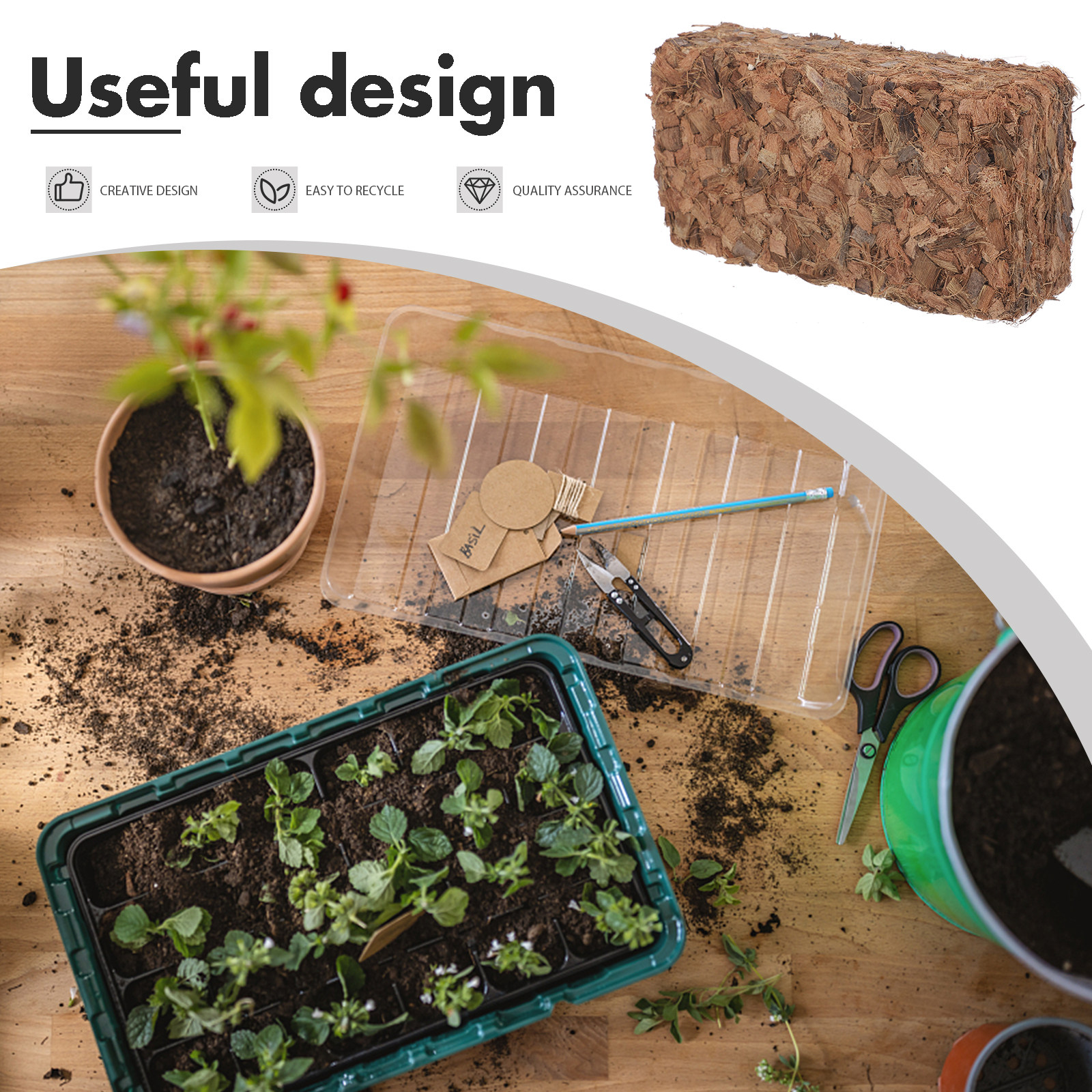 Plant Nursery Block Coconut Co - Nutrition & Fitness Coaching Fulham のレビューと価格