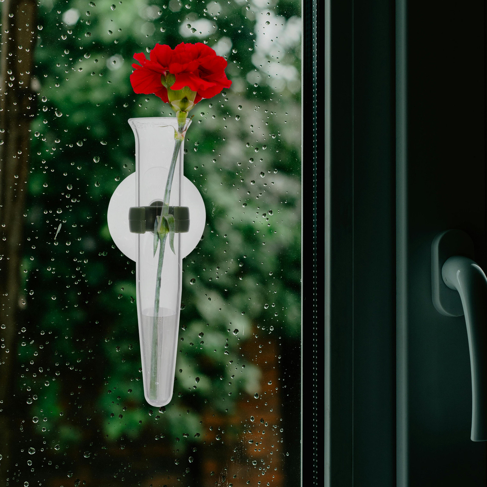 8Pcs Flower Hose Storage Silic - Nutrition & Fitness Coaching Fulham のレビューと価格