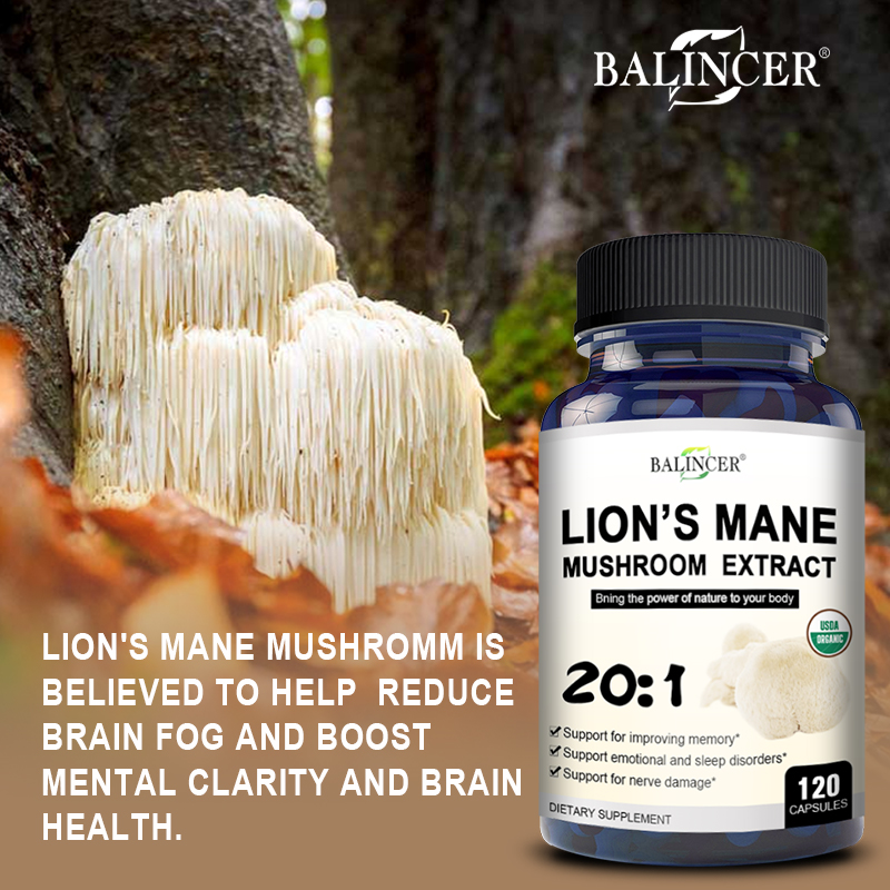 Lion's Mane - Nootropic Brain  - Lion Mane Mushroom のレビューと価格